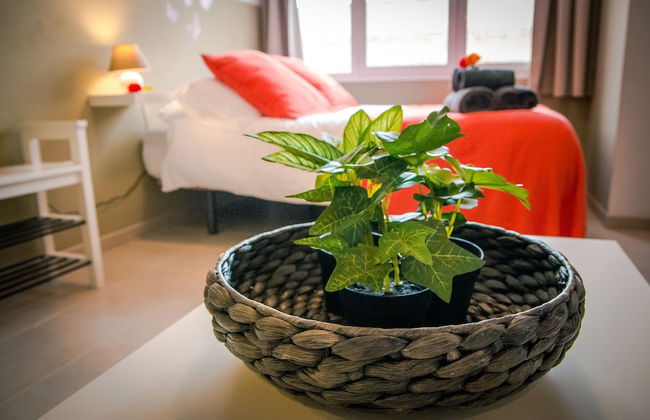 Holidays2Malaga Juan de Mena Apartments - Photo 5