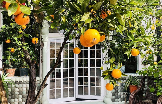 Beautiful Small House in Algarve, Portugal - Foto 1