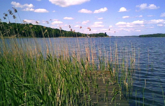 Ferienhaus mit Pool und Sauna am Duemmer See - Foto 45