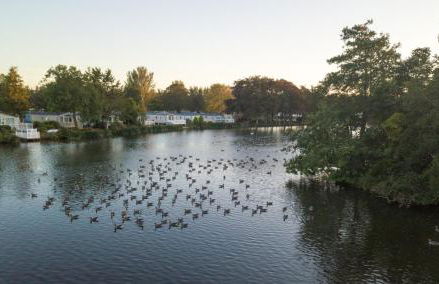 Haggerston Lola the Lodge and Betty the Van - Foto 9