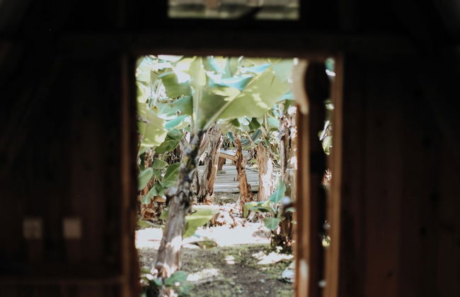 Banana Eco Camp - Foto 31