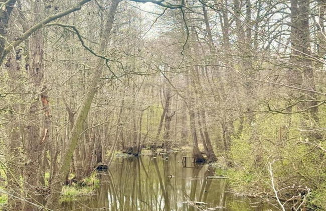 Peaceful Retreat by the Lake - Foto 26