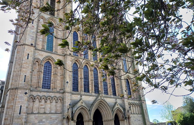 Central Ripon - Sleeps 3 - Garden - Pet Friendly - Foto 23