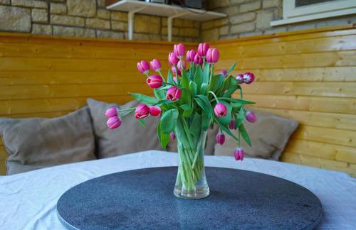 The Quackery - Foto 17