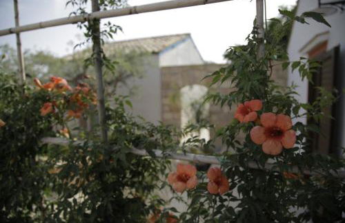 Antico Casale sul Mare - Foto 22