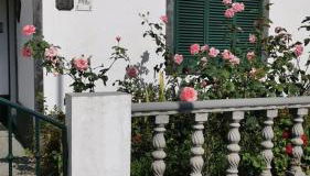 Silvia's House - Photo 3, Garden