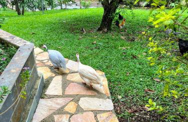 Casa em condominio a 40km de Belo Horizonte - Foto 54