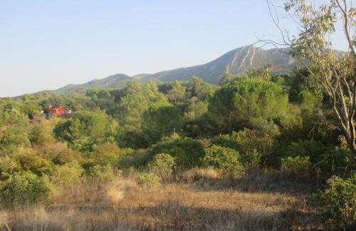 Coin de paradis - Foto 25