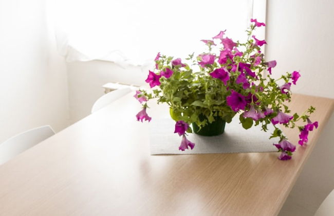 Dorsoduro Charme Apartments - Foto 30