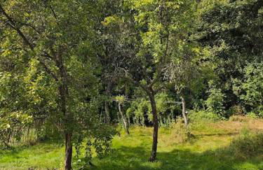 Wintergarten Eifeloase am Rursee - Foto 13