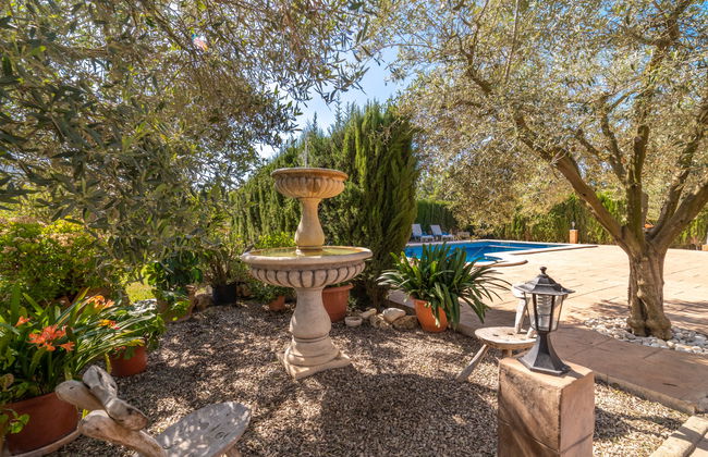 Son Catlar - Photo 27