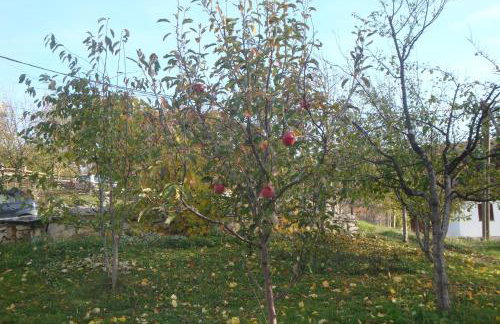 Apartment Marija - Foto 19