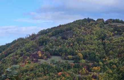 Casa del Falco - Foto 1