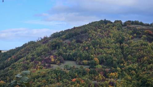 Casa del Falco - Foto 1
