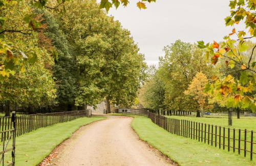 The Old Swill House - Foto 29