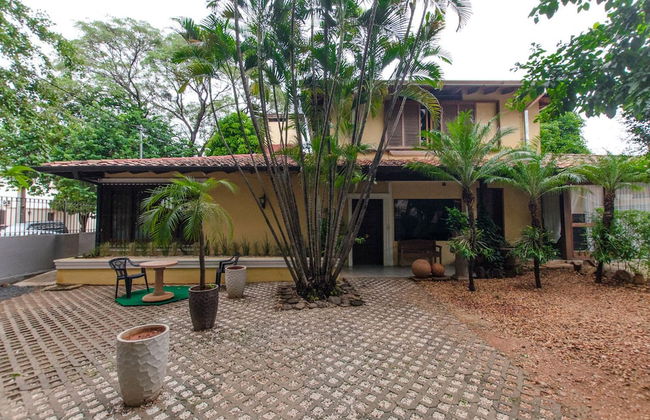 Bright Studio surrounded by trees - Photo 14