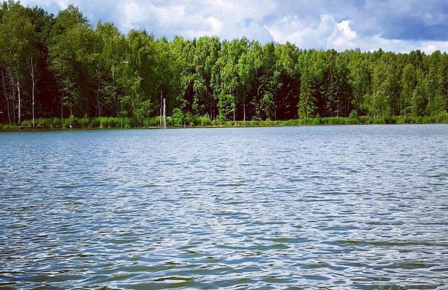 Far Cordon - Photo 17