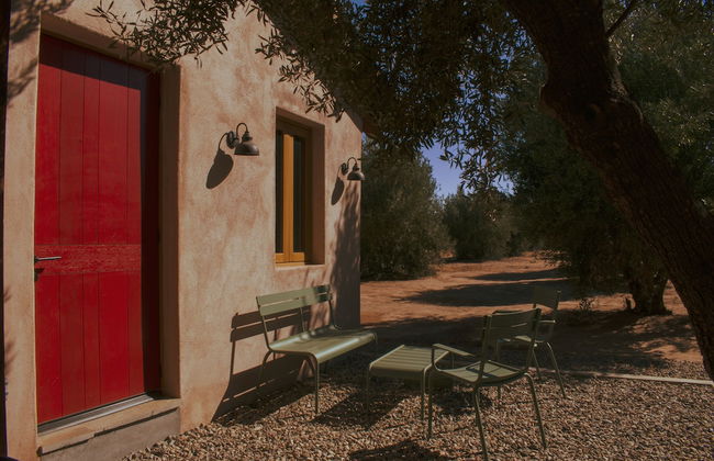 Alma Liebre Viñedos del Valle - Foto 57