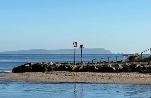 Kittiwake - Foto 6