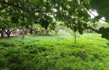 Garden house - Photo 29