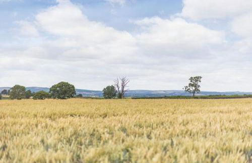 Wood Cottage - Foto 39