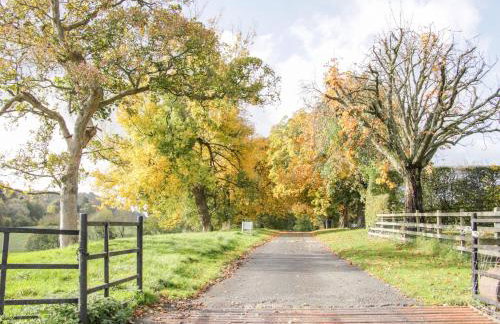 Conkers' Cottage - Photo 22