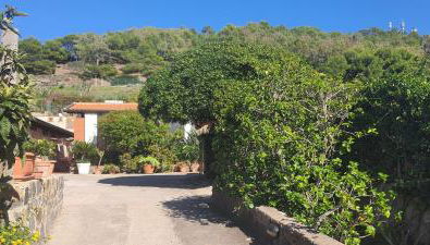 Caserta Holiday Rent - Foto 2, Garden