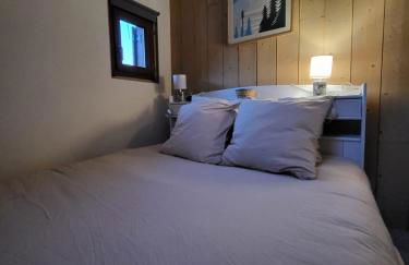 Duplex les Myrtilles LES CARROZ centre station - Photo 21