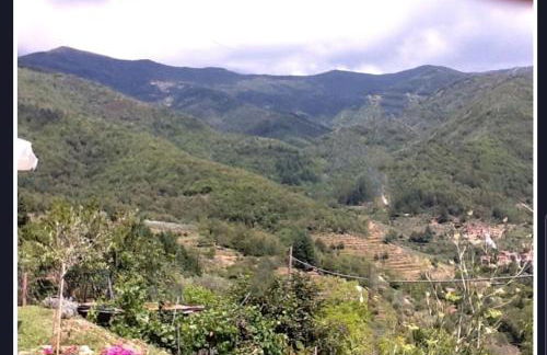 Tuscany, Loro Ciuffenna Mountain Bike&walking - Foto 20