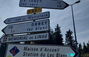 bel appartement 3 pièces dans la Résidence Vosges-Alsace Orbey - Foto 26