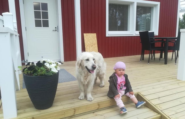 Valkeisen Loma - Foto 49