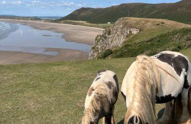 Oyster Cottage - Foto 44