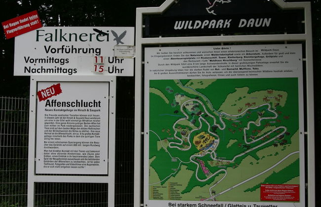 Bungalow Near Eifel Ski Lift - Foto 17