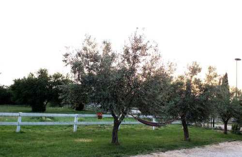 Apartments Relax Zone - Foto 58