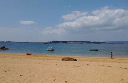 Tu Piso en la Playa - Foto 15