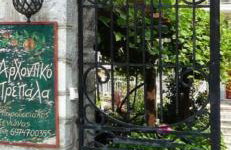 Αρχοντικό Πρεπάλα - Photo 11