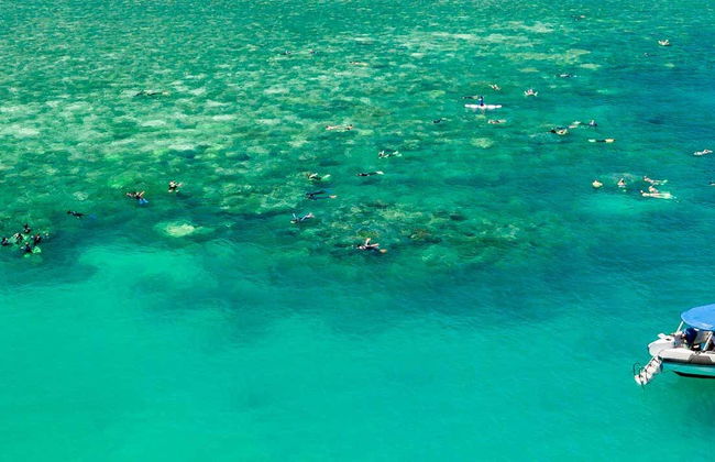 Whitsundays Islands Boat Tour - Photo 1