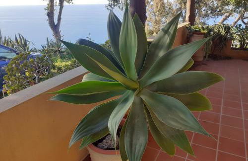 Villa Panorama - Foto 72