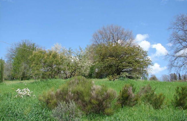 Agriturismo Terrasabina - Foto 52