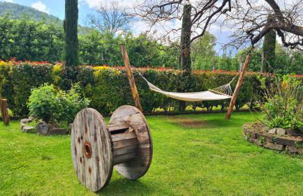 Agriturismo Podere Borgo Malnido - Foto 10