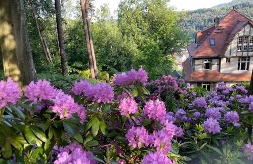 Villa Sonnenburg - Foto 11