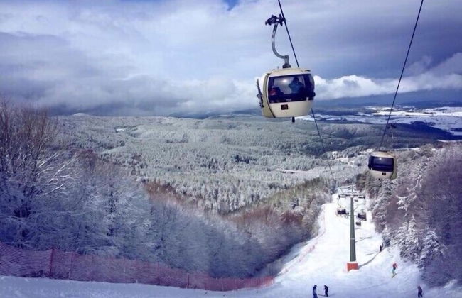 Il Tulipano - Foto 33