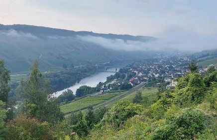 Villa Bad Bertrich - Photo 52