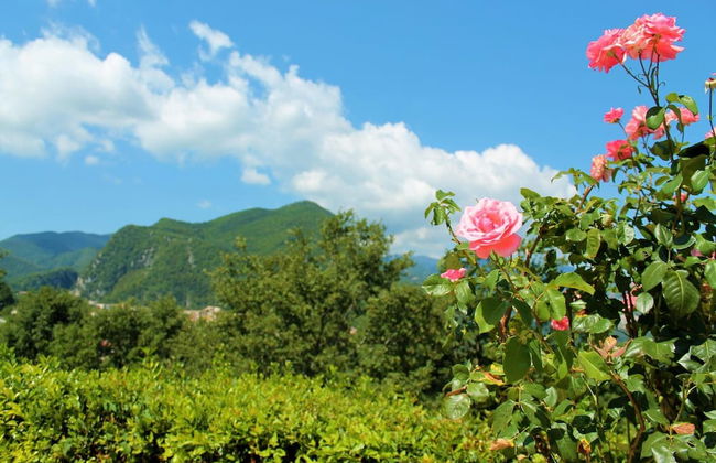 Le Coccole - Foto 48