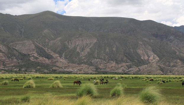 Shincal, Campo de Piedra Pómez y volcán Carachi Pampa en 2 días - Foto 5, El paisaje a nuestro paso durante el viaje