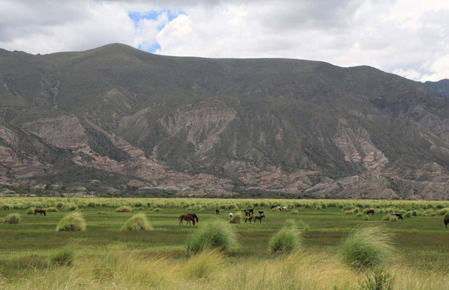 Shincal, Campo de Piedra Pómez et volcan Carachi Pampa en 2 jours - Photo 5