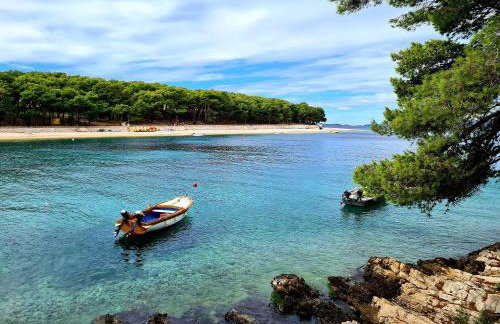 Apartman Kristina - Photo 56