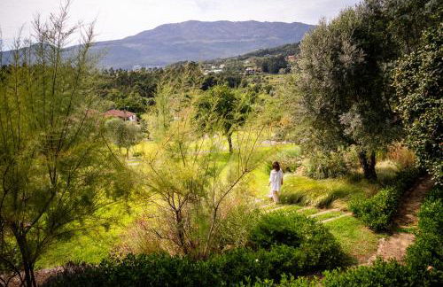 Vinte-Quinta da Boavista - Foto 142