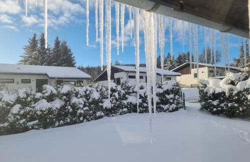 PURE! Willingen - Modern - Natürlich - Pur - Foto 27