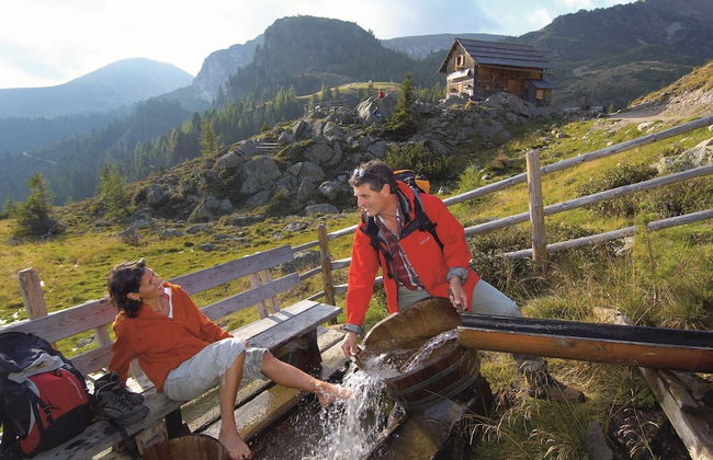 Cozy Apartment near Ski Area in Bad Kleinkirchheim - Photo 39